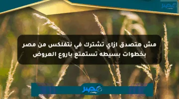 مش هتصدق إزاي تشترك في نتفلكس من مصر بخطوات بسيطة تستمتع بأروع العروض
